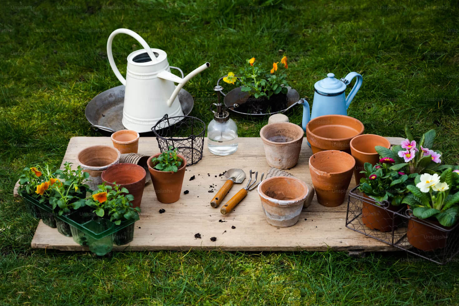 Garden Essentials