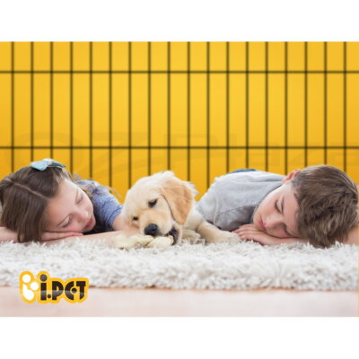 i.Pet Pet Dog Playpen Enclosure Cage 8 Panel Puppy Fence Play Pen Foldable Metal