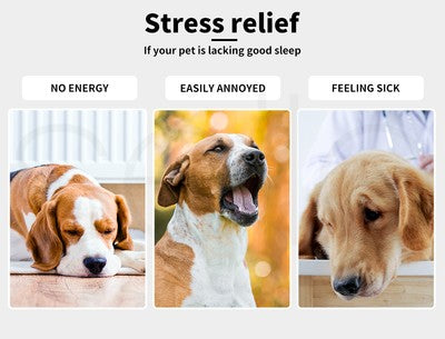 Pawz Dog Bed Pet Cat Calming Floor Mat Sleeping Comfy Cave Washable Extra Large