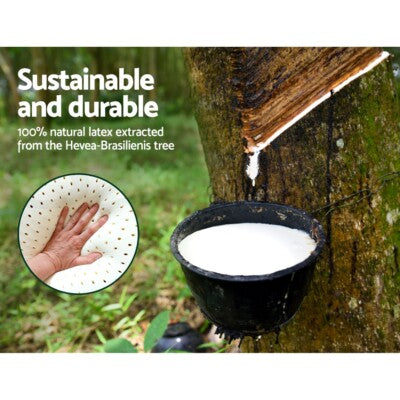 Giselle Mattress 9 Zone Queen Pocket Spring Latex Foam Medium Firm 34cm ALL SIZE